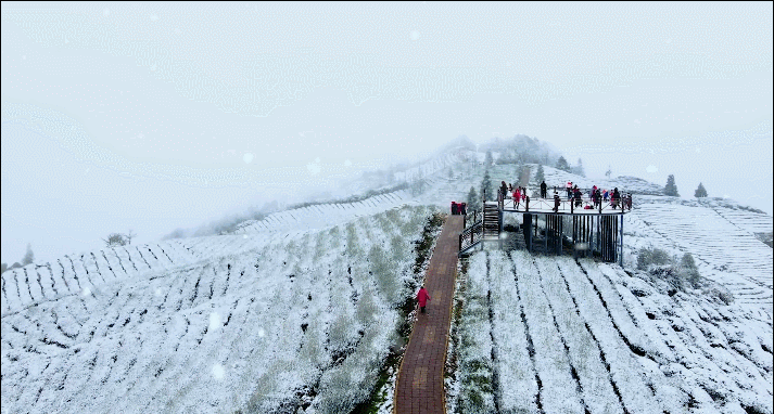 宜宾天宫山下雪了图片